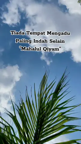 Marhaban Ya Rosulullah... Shollu'ala Muhammad... #mahalulqiyam #kelahirannabimuhammadsaw #muhasabahdiri #viral #fyppppppppppppppppppppppp 