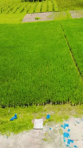 একটু মেঘের আকাশ। 💭🗯️