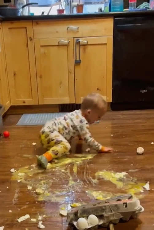 Baby’s unlucky moment 🤣🤣#funny #baby #animal #funnymonents #usa #funnyvideos #titkok