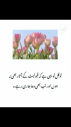 #subhanallah❤️  beshak beshak❤️