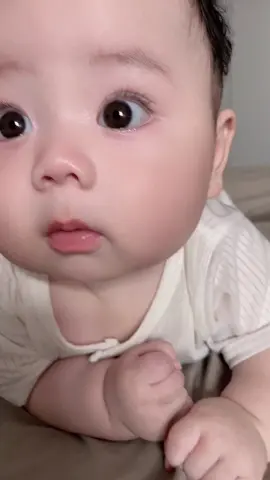 Lễ tuyên thệ nhậm chức chủ tịch hội đồng quản trị công ty trách nhiệm hữu hạn 3 thành viên - Tôi có 2 nhân viên không lương tên là Bố và tên là Mẹ =))) #embesyeu #víaconyeu #cutebaby #béna2025🐍 #trending 