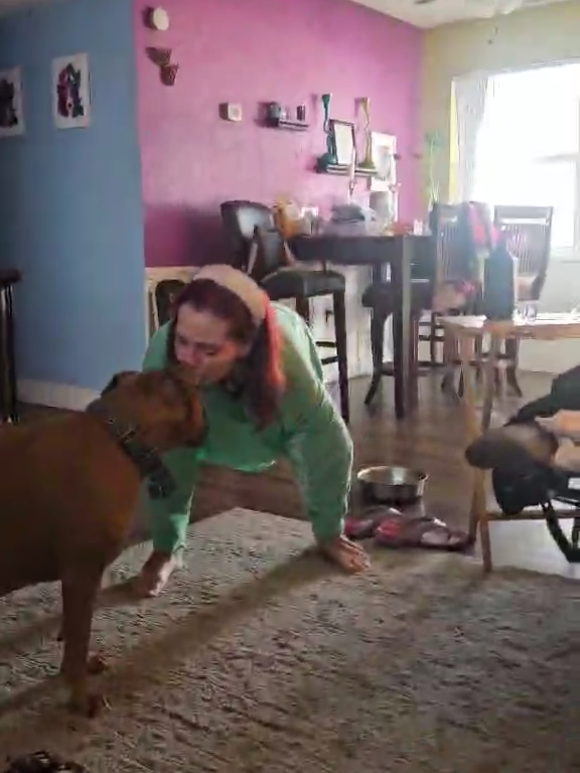 Just a girl playing with her #dog #dogmom #fyp #dogslife #pitbull 