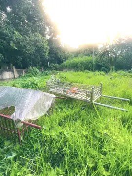 বাস্তবতা,, 🙂🦋🌸 #foryou #foryoupage #cinematic #videography #viral @TikTok @TikTok Bangladesh 
