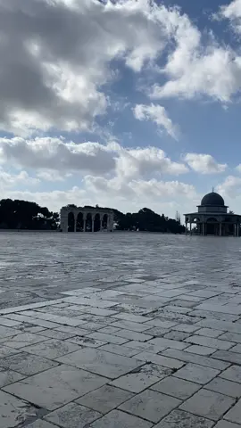#لا تنسوا المسجد الأقصى المبارك #الاقصى للمسلمين #القدس فلسطين 🇵🇸 