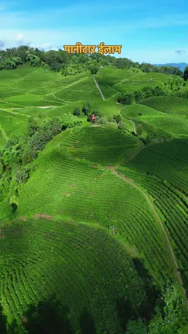 पानीटार को प्रकिर्तिक सुन्दर्ता ❤️ #viral #foryou #drone #fyp 
