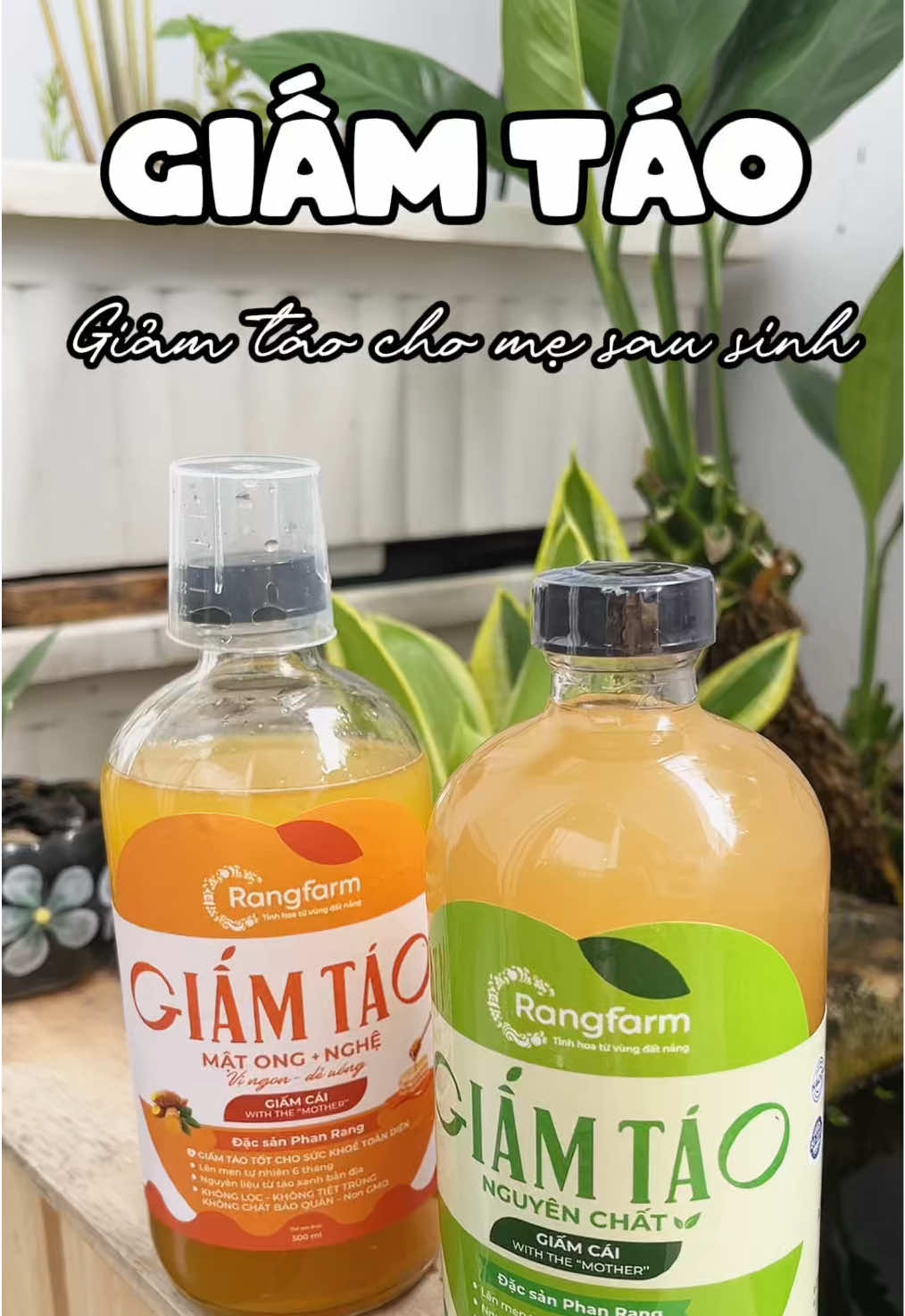 Giấm táo nghệ mật ong nhaf Rangfram ổn áp lắm mấy bà ơi dễ uống mà hỗ trợ tiêu hóa OK nha mấy bà theo dõi để tôi uống một thời gian coi dụ dạ với dáng nha #giamtao  #rangfarm  #giamtaolenmentunhien #giamtaogiamcan #uonggiamtaomoisang #DetoxTuNhien