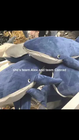 she's team Alex and team Conrad  #tsitp #conradfisher #mlwtwb #alexwalter #fyp 