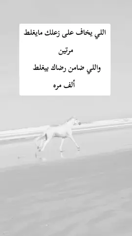 #اكسبلور 