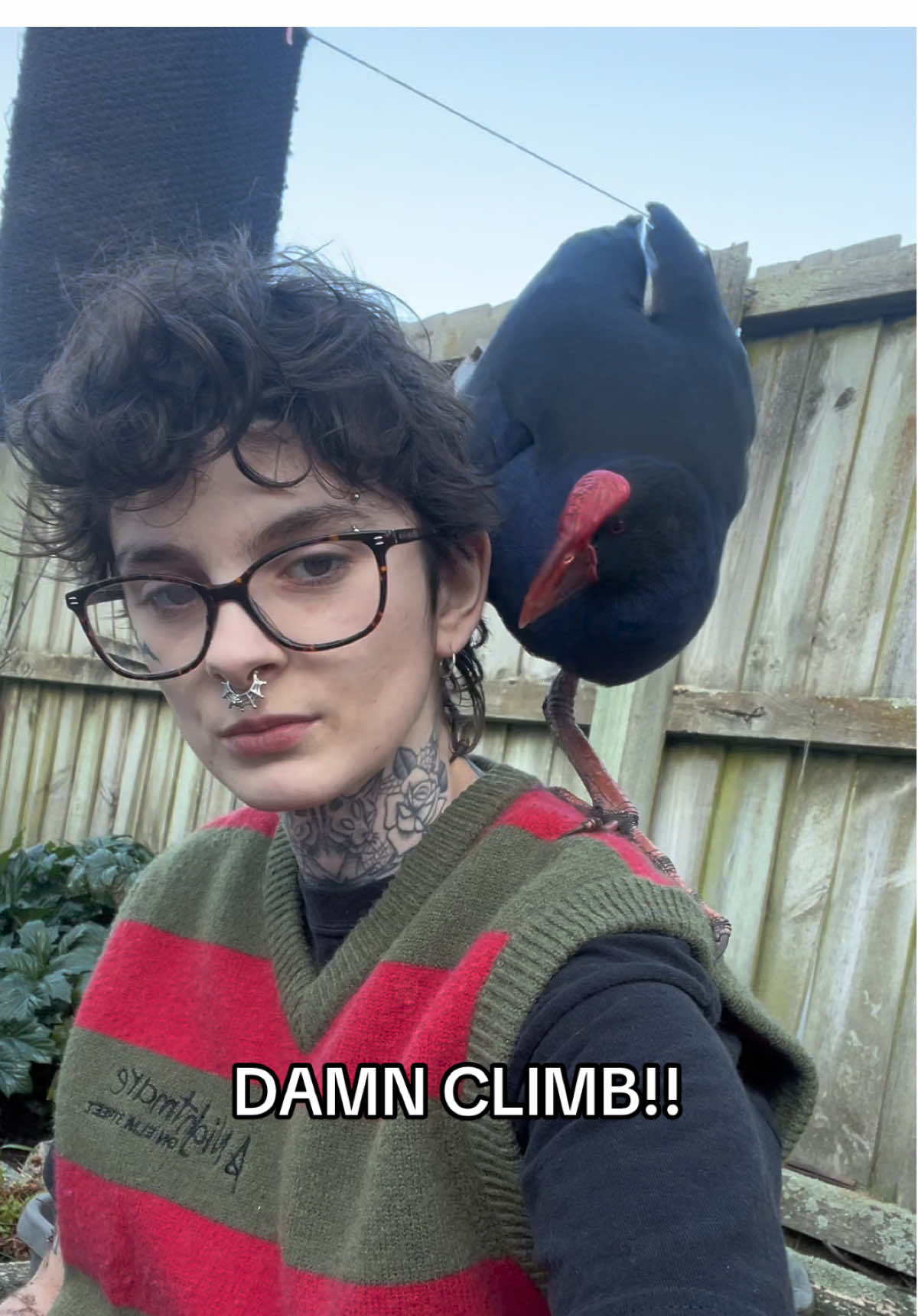 Blad climbs