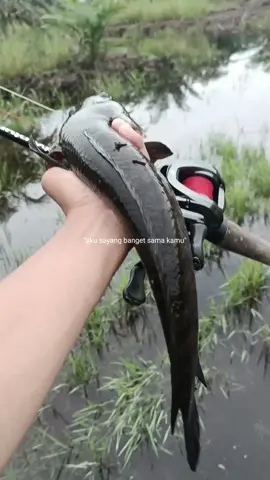 Lebih percaya omongan kawan 
