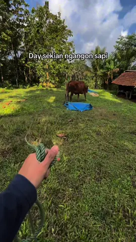 Apapun akan saya lakukan 🤣#CapCut #cewesunda 