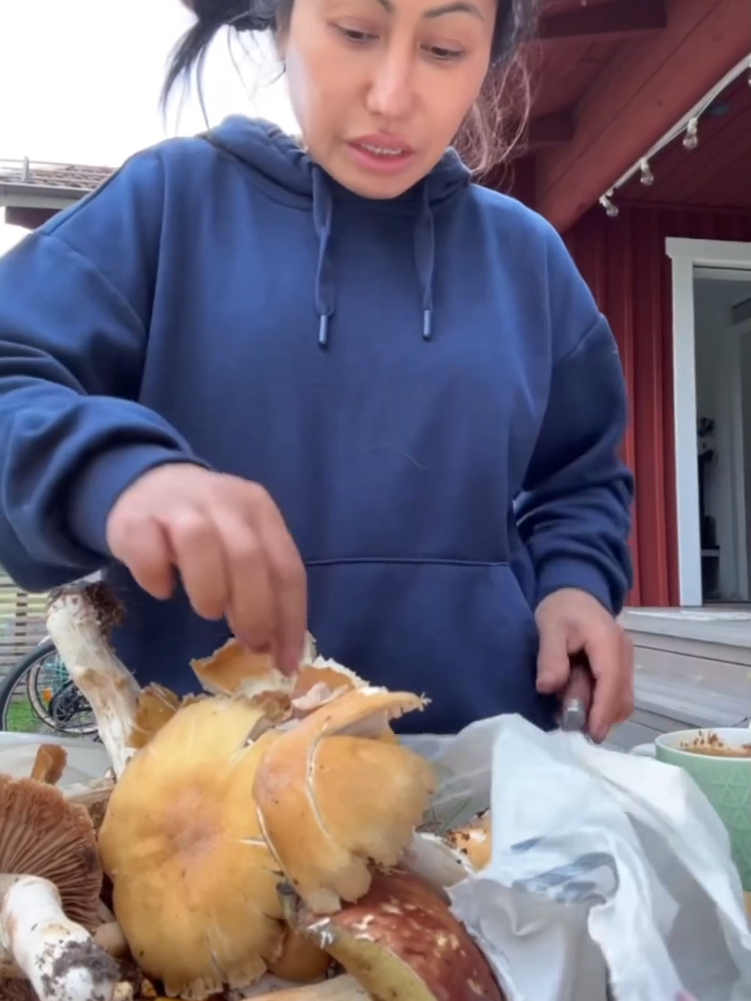 โชว์เห็ดที่เก็บจากป่าสวีเดน #คนไทยในสวีเดน🇸🇪 #คนไทยกินผัก #ยายณีหนูนาสวีเดน #หนูนาสวีเดนแฟนเพจ #หนูนาสวีเดน #ยายณีราชินีกินผัก #คนไทยในต่างแดน #ราชินีกินผัก #ยายณี