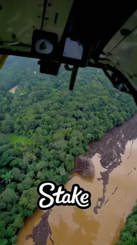 Amazon’s Deadly Secret: Massive Swarm of Anacondas Revealed in Viral Video
