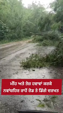 ਨਵਾਂਸ਼ਹਿਰ : ਲਗਾਤਾਰ ਪੈ ਰਹੀ ਬਾਰਿਸ਼ ਕਾਰਨ ਜਲਥਲ ਹੋਇਆ ਪਿੰਡ ਭਾਰਟਾ ਖੁਰਦ, ਦੇਖੋ ਤਸਵੀਰਾਂ। #PB_32_Nawanshahr #LatestNews #pb32 #doaba 