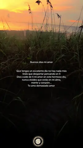 Buenos días mi amor  #parati #fyp #fypシ #goodmorning #buenosdias 