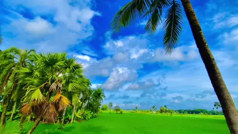 প্রকৃতি প্রেমি মানুষের মন টা একটু বেশিই সুন্দর হয় 🤗🌿 #প্রকৃতি #sky #unfrezzmyaccount #foryoupageofficiall #viral_video_tiktok @💫 ই ম রা ন 💥 