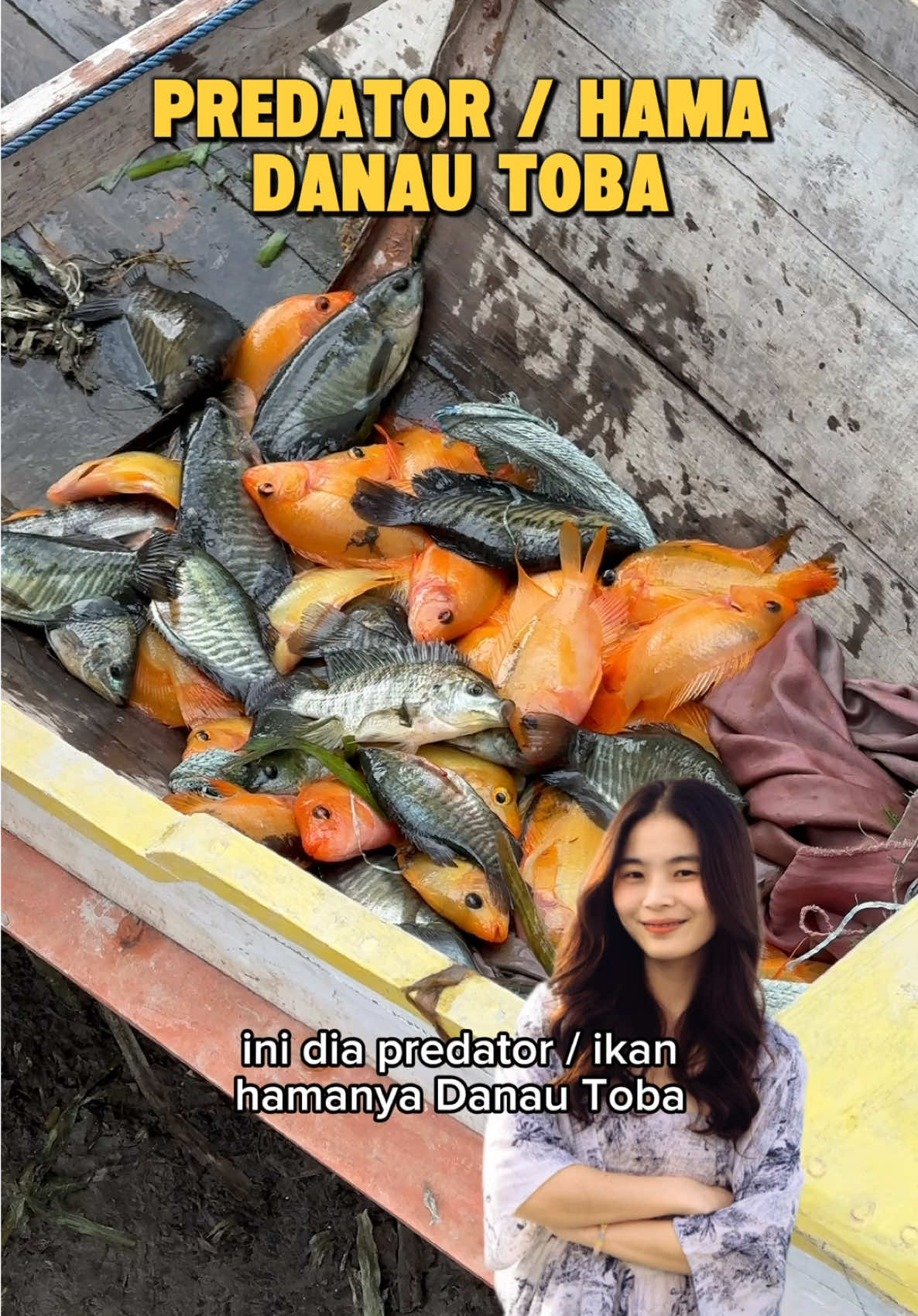 ada yg tau nama ikan hama danau toba?