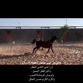 #اكسبلور #مشرف #foryou #fypage #fyp 
