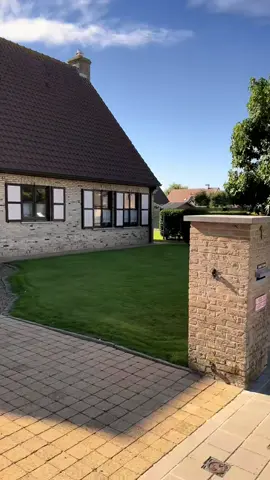 #українцівбельгії🇧🇪🇺🇦 
