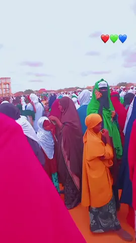 dhalashadi nabi muhamed[scw]#digri #dhalashada_nabigeena_mohamed_scw❤️ #sharegree 