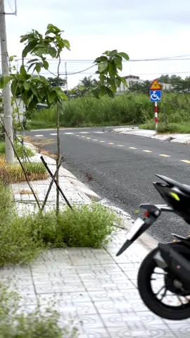 trời mưa cũm cố mà quay#vario #vario2023 #variogen2 #vario125denbong 