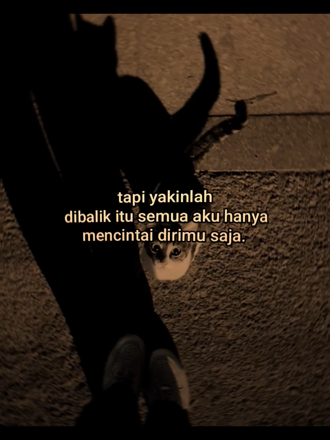 #quotes 