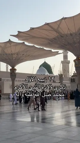 #السعودية🇸🇦 #المدينة_المنوره #تصويري #مكه_المكرمه_المملكه_العربيه_السعوديه #fypシ 