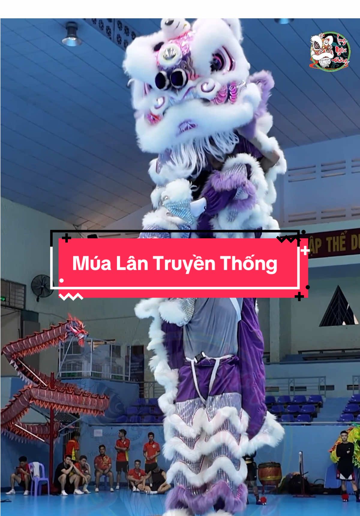 Full skill Múa Lân Truyền Thống đơn vị Ninh Bình tại Đắk Lắk #longngocthuong #longnghiaduongtn #daklak #ivs #giaivodichcacclblsrtoanquoc2025 
