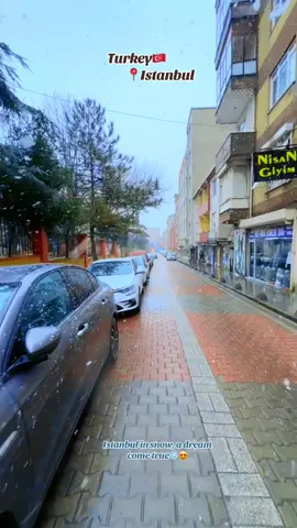 Snowfall in Istanbul❄️😍  #turkiyem🇹🇷🇹🇷🇹🇷 #exploreturkey #studentlife #foryouuuuuuuuuuuuu #bestmoments❤️ #Pakistani 