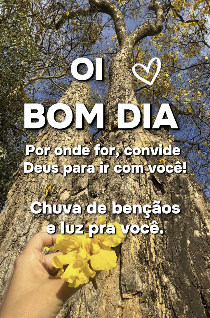 Oi bom dia, chuva de bençãos pra você #creatorsearchinsights #bomdia #status #mensagemdebomdia #bomdiacomdeus #padrefabiodemelo #vida #bora #monetizar #top1 #10k? 