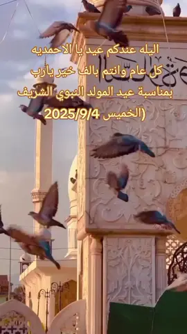 #اليله #عندكم #عيد #يا #الاحمديه  كل عام وانتم بالف خير يارب  بمناسبة عيد المولد النبوي الشريف🤲🏻🦋♥ 