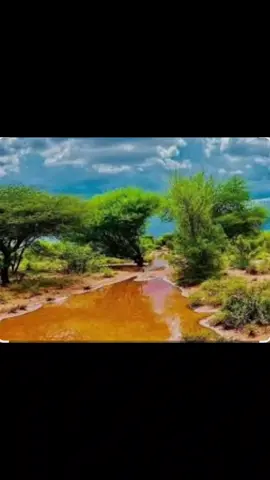 #somalitiktok🇸🇴 #dhulbarakeysan❤🥰🥰🥰 #somlitiktok2021💯😇🇸🇴💓💓💓 @yoonka saki81🇸🇴 @shakuur_04 @Z A A K I B 🔥 🇸🇴 ☑️ 