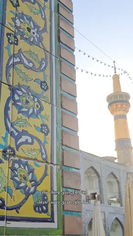 ياأمام رضا ❤️‍🩹 #رضا_جان #مشهد #أنيس_النفوس #الامام_الرضا #ياعلي_ابن_موسى_الرضا 