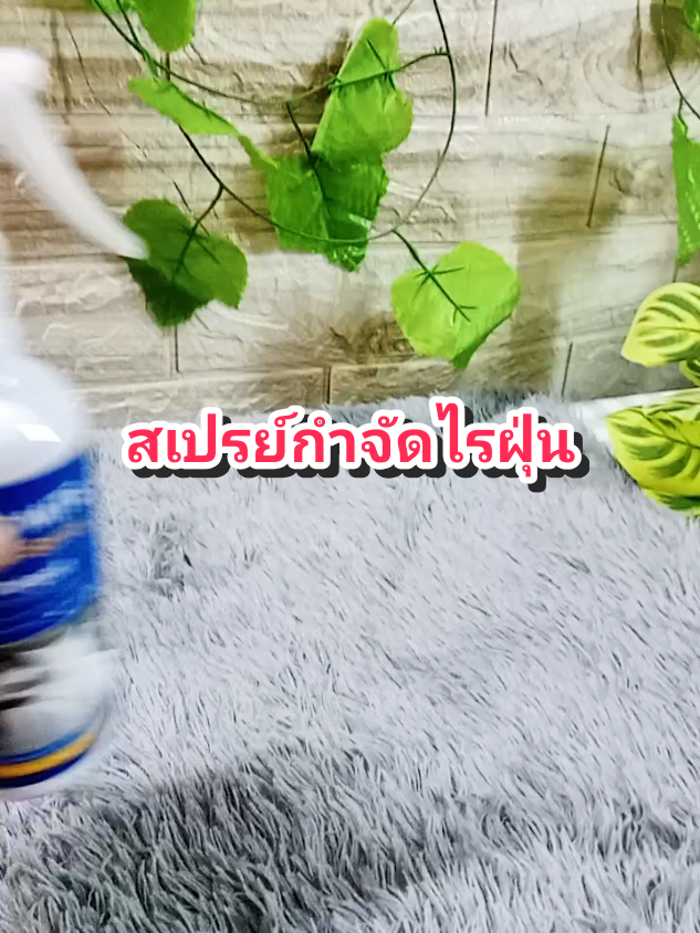 สเปรย์ฉีดไรฝุ่น#ของดีบอกต่อ #ใช้ดีบอกต่อ #สเปรย์ฉีดไรฝุ่น #ไรฝุ่น #ภูมิแพ้ @โบโบ Shop99 