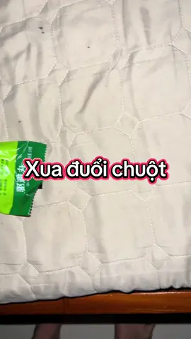 Xua đuổi chuột anh chị yên tâm với lhông gian sống của mình#quanaomua #aomua #muagiobaobung🌧🌧🌧 #xuaduoichuot #viendietgian #khanuot #vienduoichuot #xuaduoichuot #duoicontrung  @Thuý Trinh  @Thuý Trinh  @Thuý Trinh 