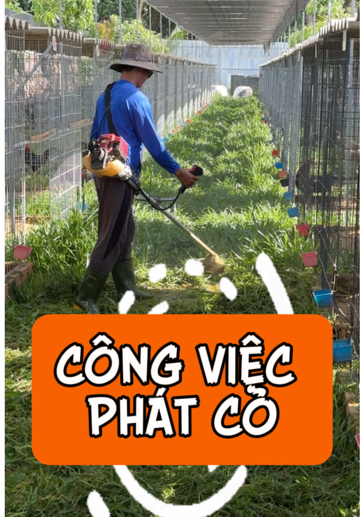 Top công việc hàng ngày phải làm ở trại, top 1: PHÁT CỎ #manhbentre @Trại Gà Mạnh Bến Tre @Trại Gà Mạnh Bến Tre 1 @Trại Gà Mạnh Bến Tre 2 