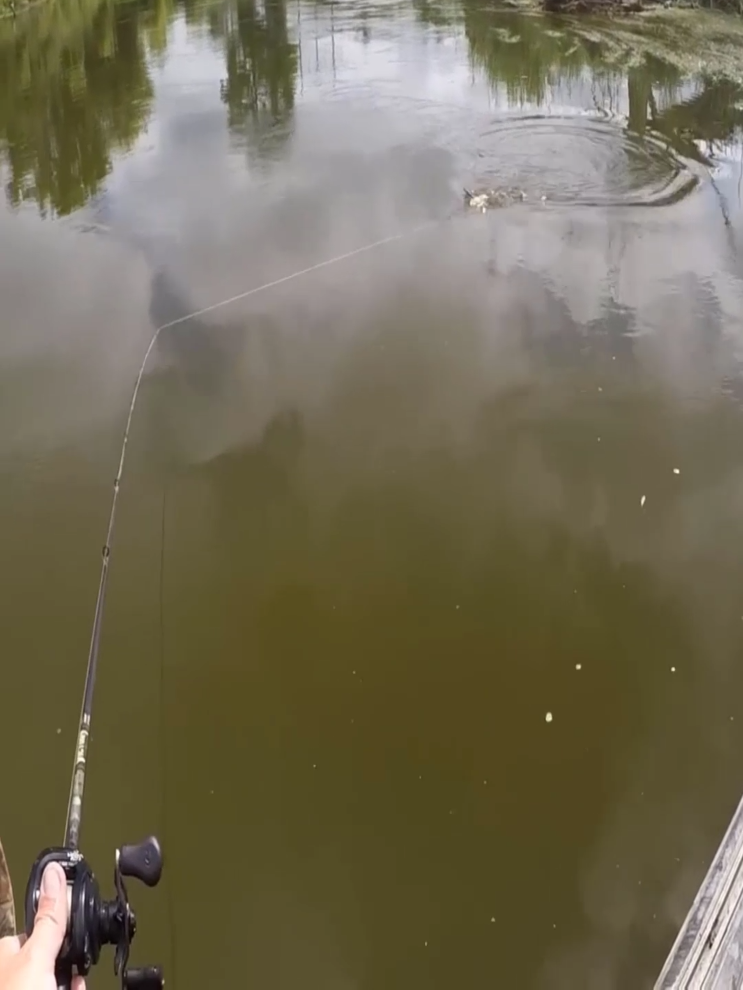 #fishing #fish #foyoupage #foryour #fyp