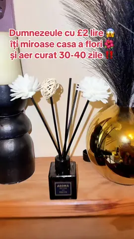 50ml Reed Diffuser with Stick, Aromatherapy Essential Oil Diffuser, Home Fragrance Reed Diffuser for Bathroom, Bedroom, Living Room, Office#homefragrance #aromatherapy 