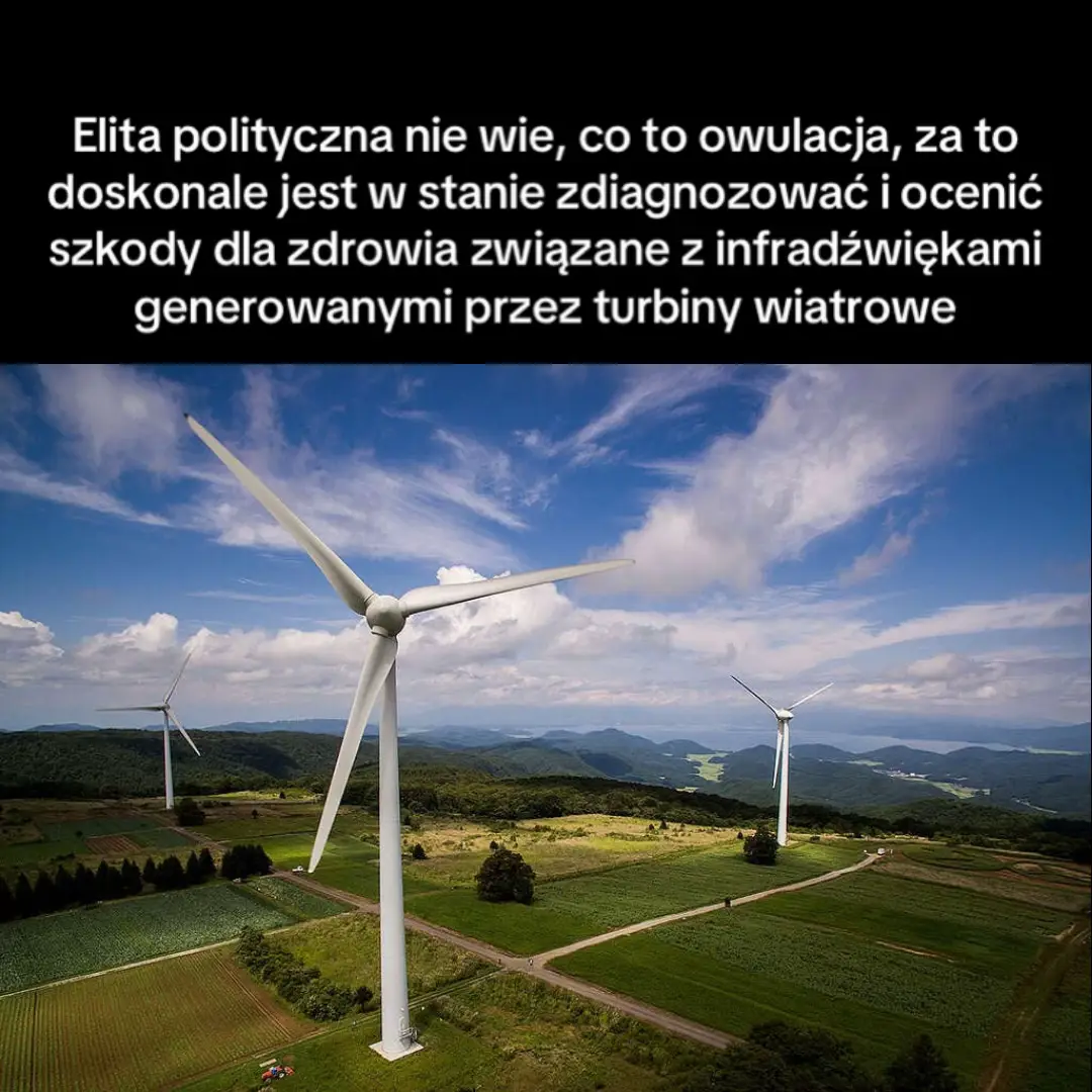 Politycy często nie mają podstawowej wiedzy, ale nagle w kwestii wiatraków udają ekspertów - mimo że nauka mówi zupełnie co innego. #prąd #oze #polska #wiatraki 