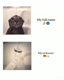 #frrr #fypシ #✨🌚🤌🏼 #support_me 