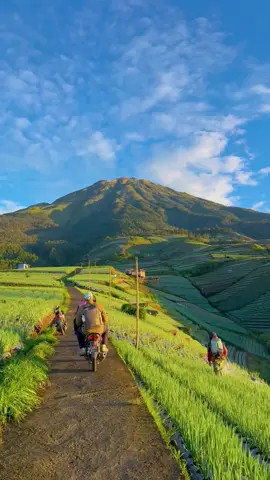 Keindahan negri sayur Sukomakmur Magelang 