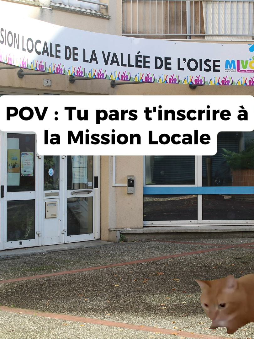 Hop ! Ces quelques chats ont retenu votre attention ? 😺 Ils sont les meilleurs pour illustrer nos moments du quotidien, même une inscription au sein de la Mission Locale 😹 Bonne rentrée ! 😸 #missionlocale #mlvo #oise #chats #chat #meme #memechats #memeschats #emploi #formation #jeunes #permis