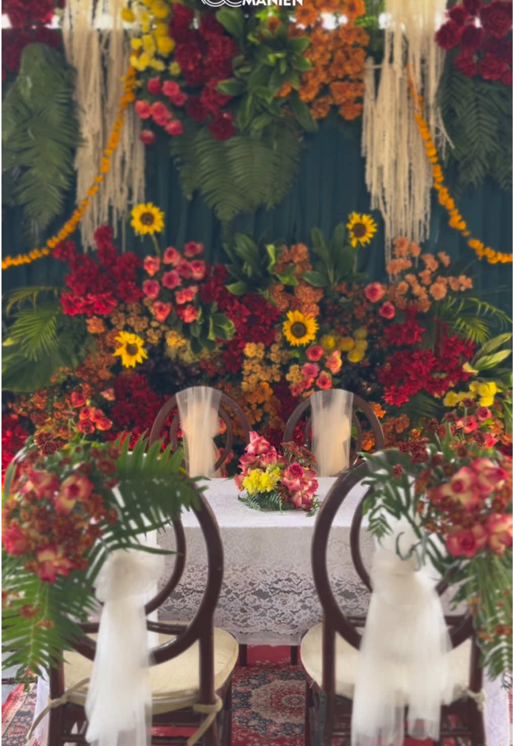 Rekomendasi Decor Wedding Intimate ❤️ #wedding #weddingdecor #weddingtiktok #weddingorganizer #weddingorganizerbandung 
