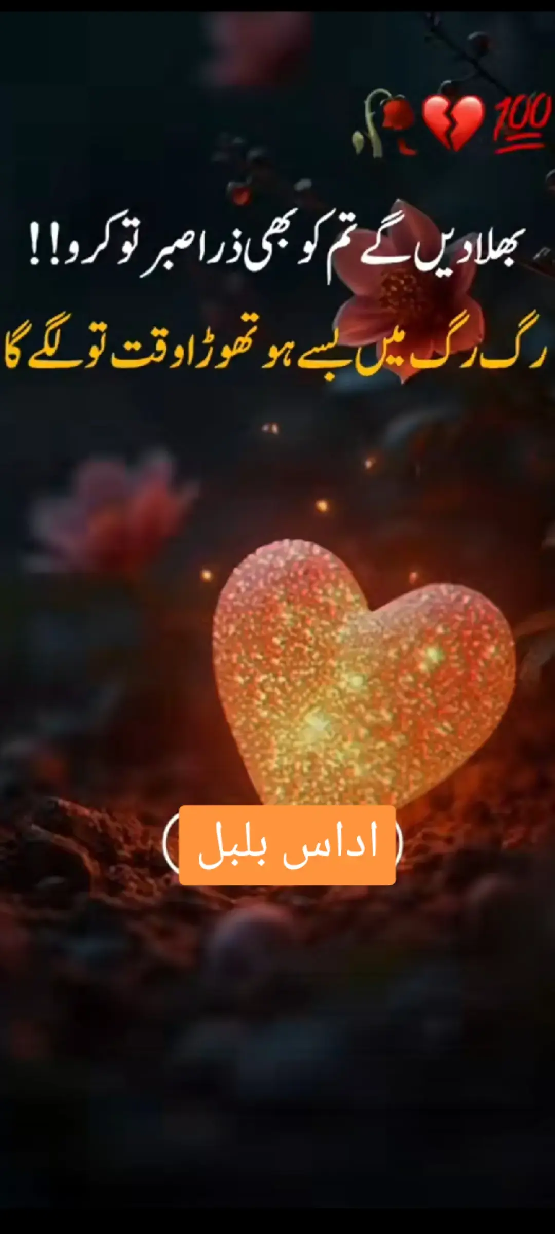 😢😢😢😢 اداس بلبل 💔💔💔