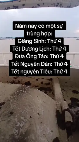 #giaitritiktok 