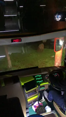 Lepas rumah makan+lampu kabin of langsung tarik selimut tambah lagu galau di airpod #busindonesia#busjourney#busmania#traveltiktok#busmalam