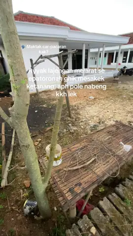 🥵 #layangan #lenbulenan #madura 