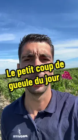 Un petit coup de gueule avant les vendanges 🍇😬 IG : adri_ostins  #pourtoi#fyp#viticulture#agriculture 