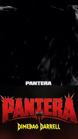 #pantera #groovemetal#dimebagdarrell #heavymetal 🤘🏻🤘🏻👊