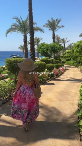 Day 5 in Sharm El Sheikh  #egypt #sharmelsheikh #travel #vacation #beach 